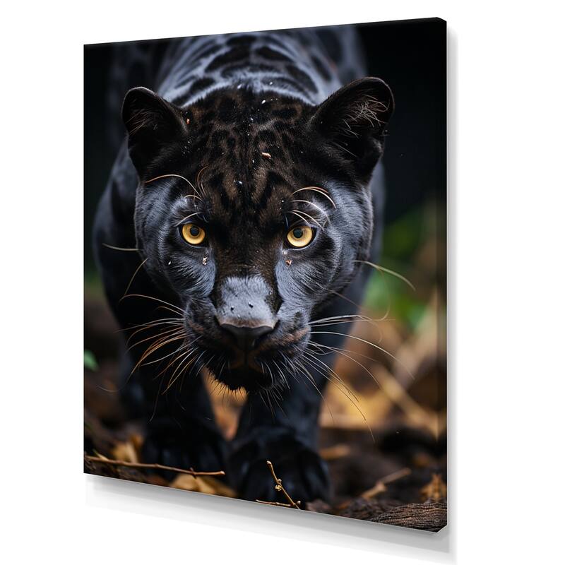 Designart "Black White Animal Panther Portrait II" Animals Panther Canvas Wall Art Bed Bath